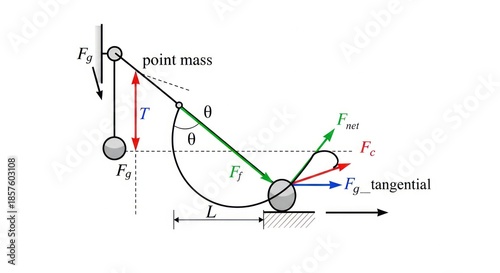 Wallpaper Mural Pendulum diagram showing point mass and forces vector graphic Torontodigital.ca