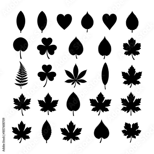 Variety of black leaf shapes and botanical silhouettes