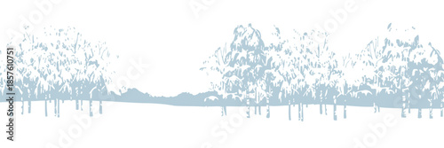 Winter Forest Background Isolated on White, Snowy Woodland Landscape Illustration with Trees for Seasonal Design and Nature Concepts