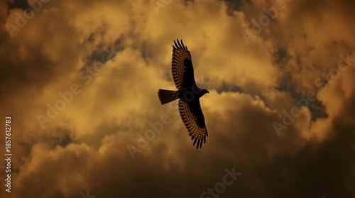 A majestic hawk soaring through dark storm clouds during a dramatic sunset.