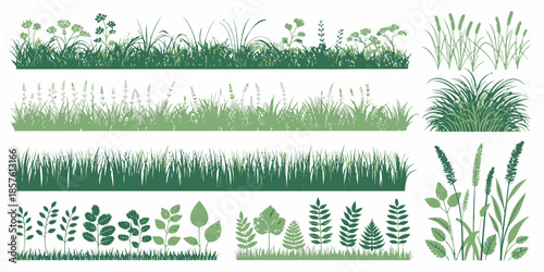 Variety of green grass and leafy plants in different shades