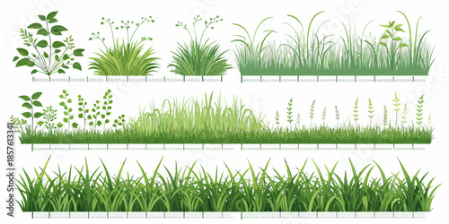 Collection of various green grass and plant illustrations