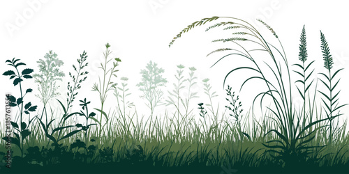 Lush green grass and plants in a serene natural landscape setting