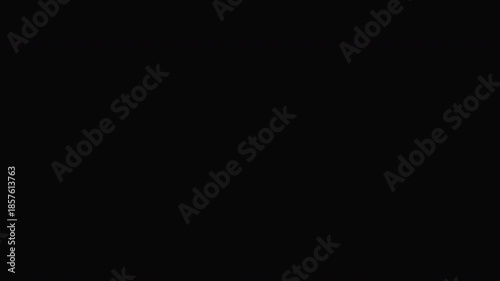 Floral Pattern Text Frame Animation Transparent Background