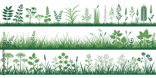 Variety of green grass and plants in natural landscape