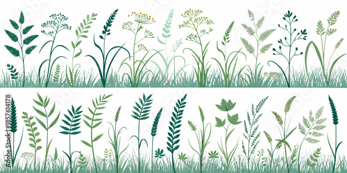Variety of green plants and grasses on white background