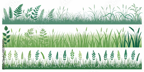 Variety of green grass and leafy plants in different shades