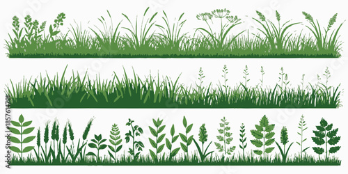 Variety of green grass and plants in natural settings