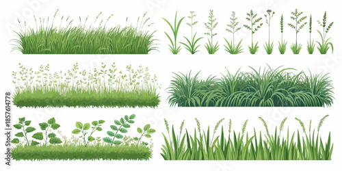 Variety of lush green grasses and plants for landscaping