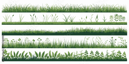 Variety of lush green grass and plant strips for landscaping