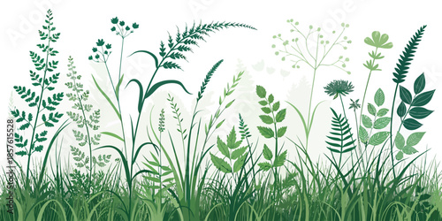 Variety of wild green plants and grasses on white background