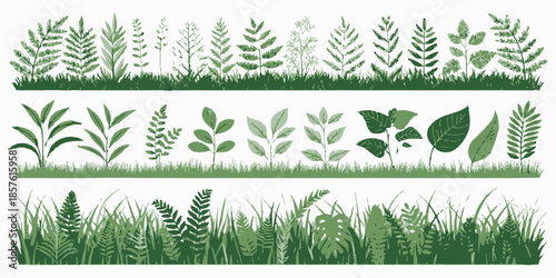 Variety of lush green plants and grass in natural setting