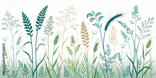 Variety of wild grasses and plants in green hues on white