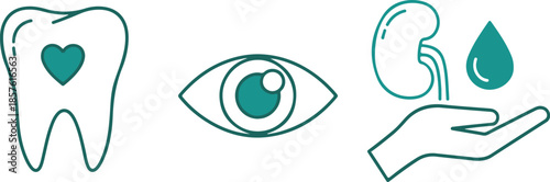 Simple Teal Line Representing Dental Health Eye Care and Kidney Health with a Hand and Water Drop Keywords: dental, health, tooth, heart, eye