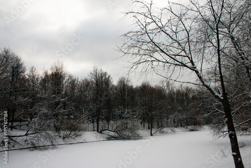 Winter landscape in the park with trees covered with snow and cloudy sky