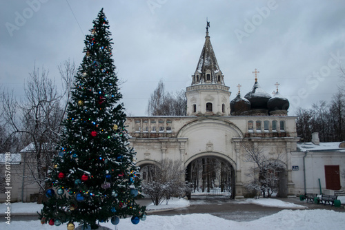 Christmas tree on the territory of the Kremlin