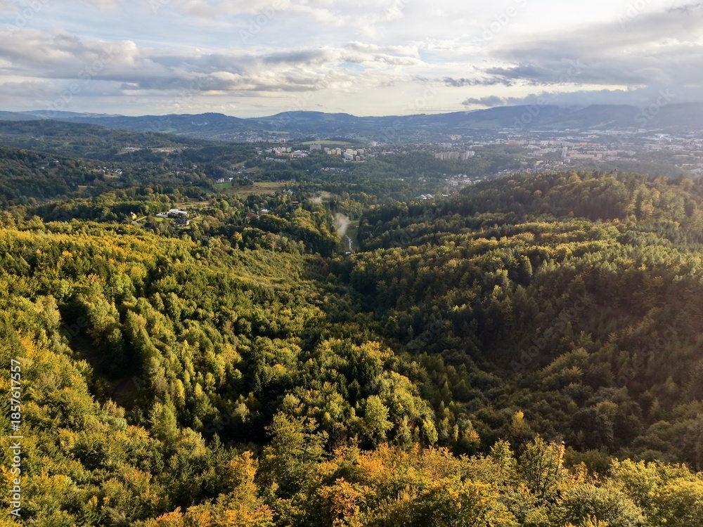 Naklejka premium Sundrenched Forest Depression Reaches Toward Horizon With Stunning Vistas Perfect For Outdoor Activities