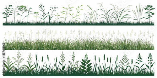 Variety of grass and plants in natural settings for design