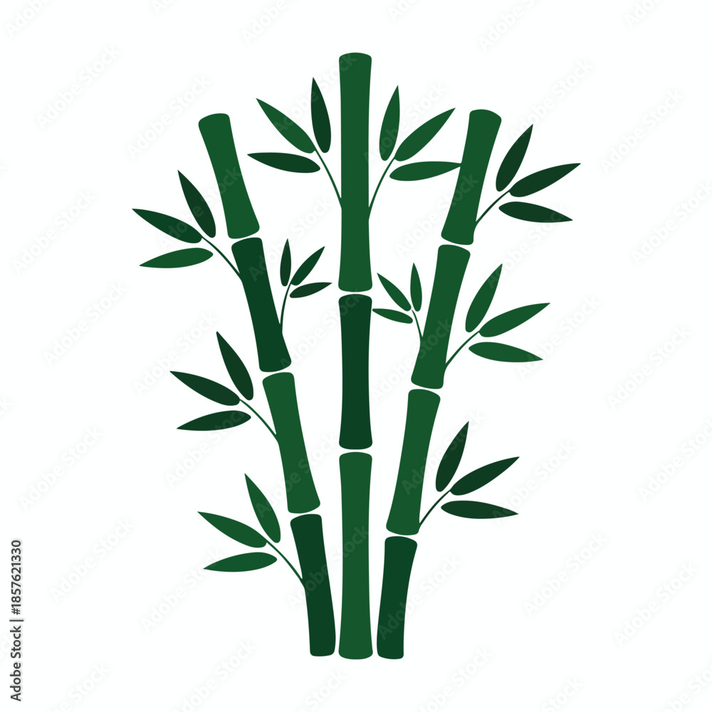 Obraz premium Illustration of bamboo plants