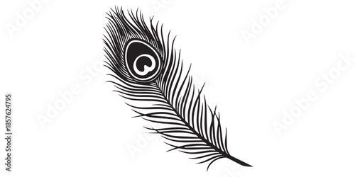 Black and white peacock feather vector illustration, a simple silhouette with clean edges, no shadow or background details, in a vector flat style on an isolated white background. An ornate peacock