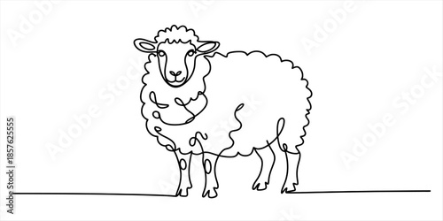 Simple continuous line drawing of a sheep standing on a white background Vector, illustration