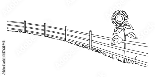 A black and white line drawing showing a sunflower growing near a sloping fence Vector, illustration