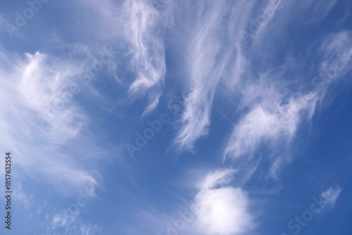 Beautiful sky landscape with white calm fluffy cirrus clouds high in the stratosphere on a sunny serenite day