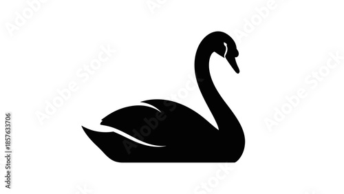 Elegant Black Swan Swimming Isolated White Background, Graceful Waterfowl Silhouette