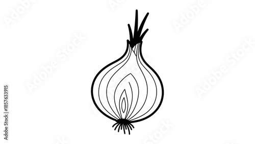 Detailed Outline of a Fresh Onion Vegetable on Isolated White Background