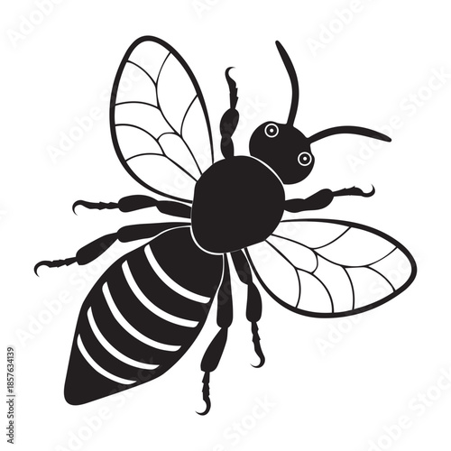 honey bee icon, honey bee silhouette vector, isolated on a white background