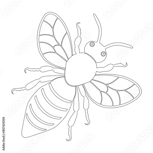 honey bee icon, honey bee silhouette vector, isolated on a white background