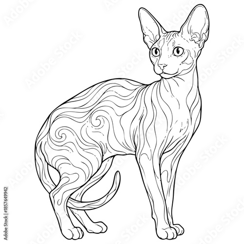 Cornish Rex Cat with Wavy Fur Vector Outline Coloring Page