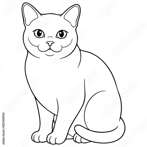 Burmese Cat Vector Outline Illustration Coloring Page