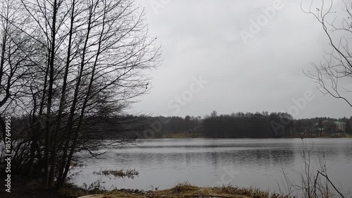 A plastic boat lies upside down on the shore under a dead reed near an alder tree. There are buildings and trees on the opposite shore of the lake. There are ripples on the water. Cloudy and snowless