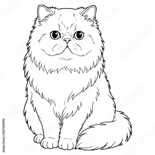 Persian Cat Vector Line Art for Adult Coloring Page