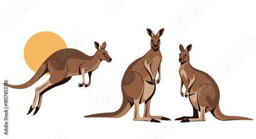 Three Kangaroos in Different Poses with a Sun.