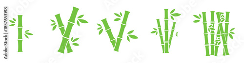 bamboo stick doodle hand drawing icon green leaf bamboo forest