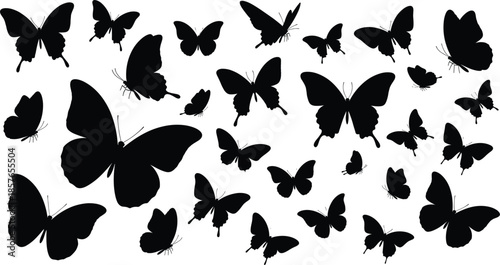 Butterfly Silhouette Collection Showing Flying Insects in Various Sizes and Poses Black Isolated Vector Set