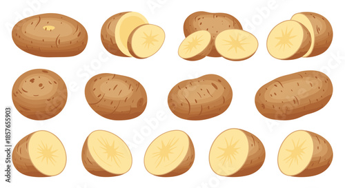 Simple vector collection of raw brown potatoes, featuring the vegetable whole, halved, and cut into round slices for cooking.