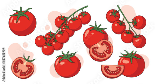 Fresh red tomato collection, including whole, sliced, and cherry tomatoes on the vine, with modern abstract background shapes.
