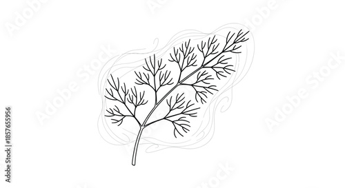 Elegant and delicate black and white line drawing of a dill sprig, set against a subtle, abstract background of flowing lines.