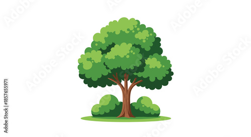 Simple and lush cartoon illustration of a green deciduous tree with surrounding bushes, isolated on a white background.