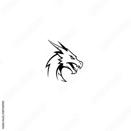 Fierce Dragon Head Illustration