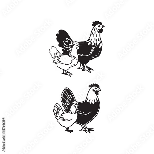 Vector illustration of a chicken