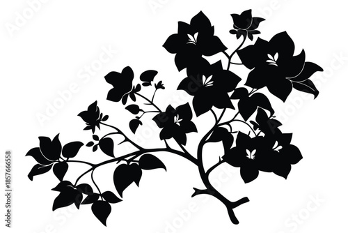 bougainvillea silhouette line art vector illustration