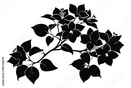 bougainvillea silhouette line art vector illustration