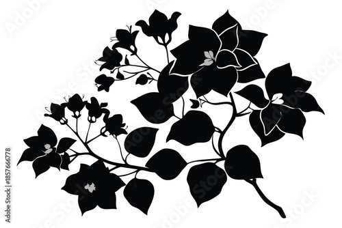 bougainvillea silhouette line art vector illustration