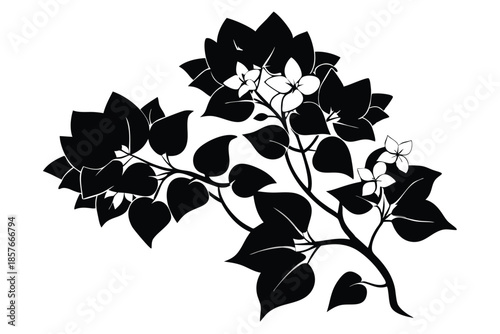 bougainvillea silhouette line art vector illustration