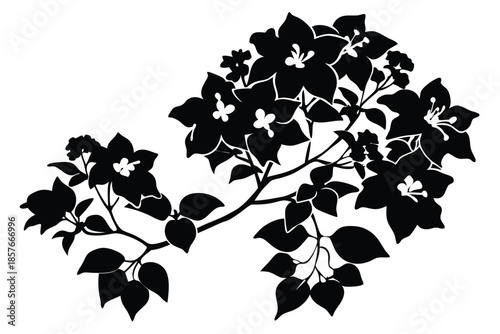 bougainvillea silhouette line art vector illustration