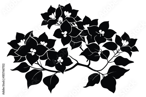 bougainvillea silhouette line art vector illustration